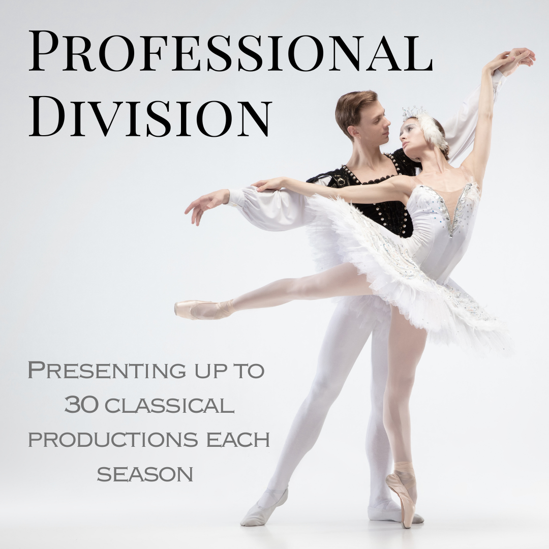 professional dancers performing Swan Lake. Odette in a Beautiful white tutu partnering with Prince Siegfried